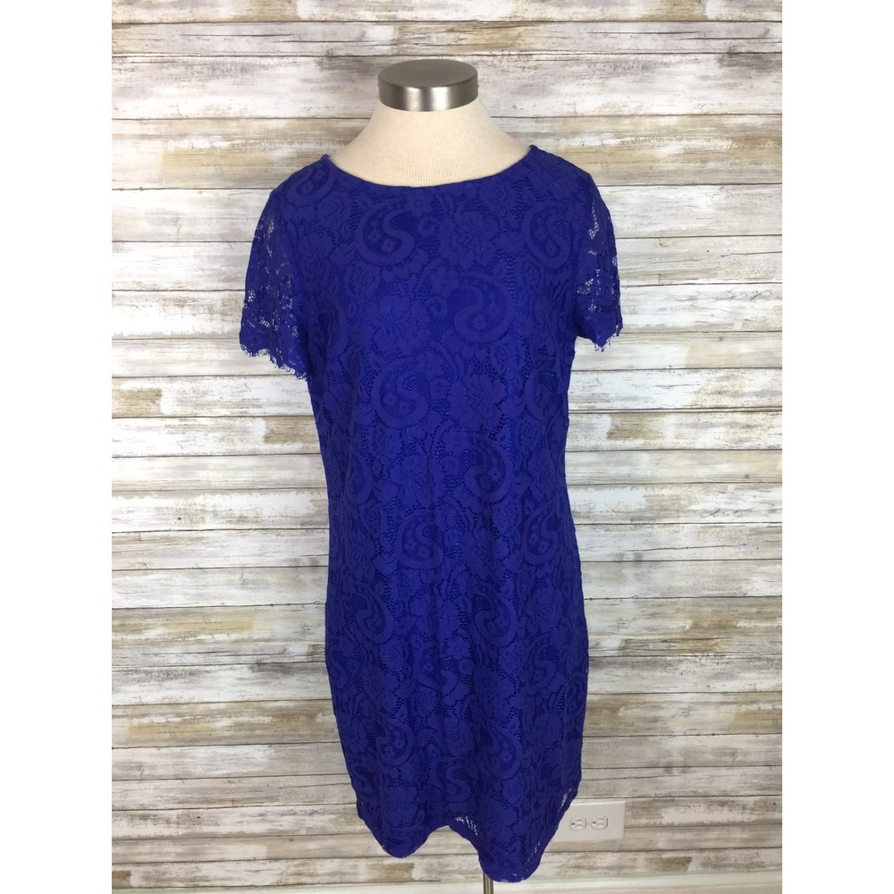 Dorothy Perkins Dress Lace‎ Purple Blue us 10, uk 14